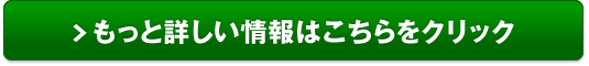 ヒューマンアカデミーランゲージスクール販売サイトへ